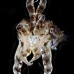 cuttlefish_ts_bb_si_v_0045_kom0567_rv.jpg